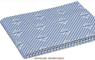 Image de SERPILLIERES VILEDA 59X50 (5)