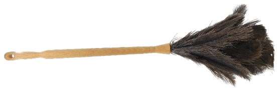 Image de PLUMEAU NATUREL