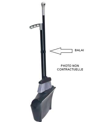 Image de BALAI POUR PELLE AE 33020.2