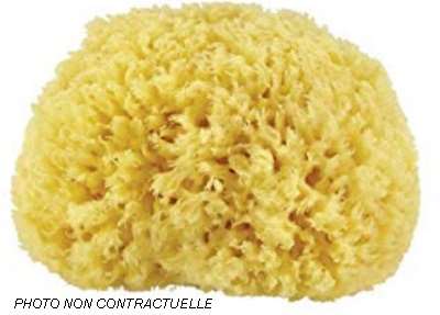 Image de EPONGE DE MER NATURELLE