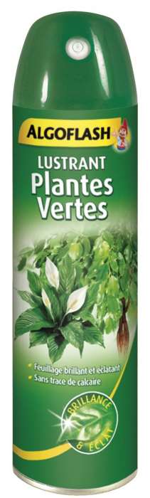 Image de BOMBE LUSTRANTE PLANTES VERTES 250ML