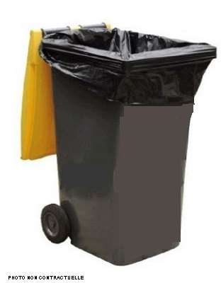 Image de SACS CONTENEUR 240L (100) STD