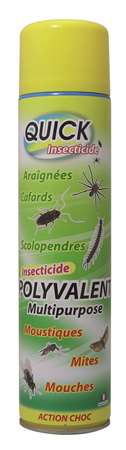 Image de BOMBE INSECTICIDE RAMPANTS 600ML (POLYVALENT)