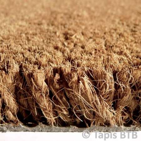 Image de TAPIS BROSSE 17MM COCO COUL.M2