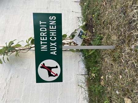 Image de PANNEAU 'INTERDIT AUX CHIENS' SUR POTELET 40*15