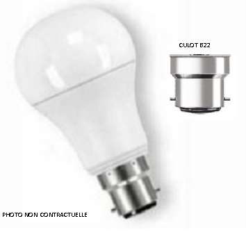Image de STANDARD LED 11/12W-1000LM B22 2700/3000°K