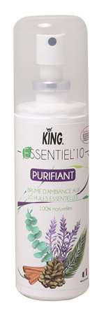 Image de DESODORISANT ESSENTIEL'10 100ML AUX 10 HUILES ESSENTIELLES