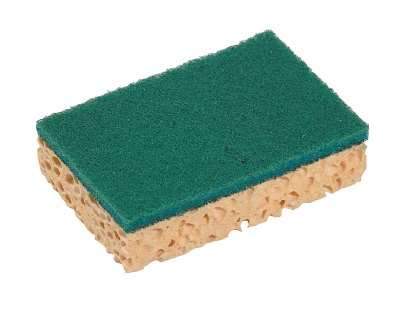 Image de TAMPON EPONGE LOT DE 10