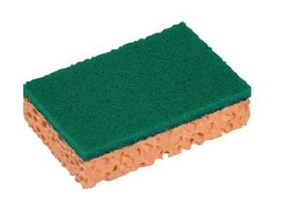 Image de TAMPON EPONGE 130*90 GM X10 902/942